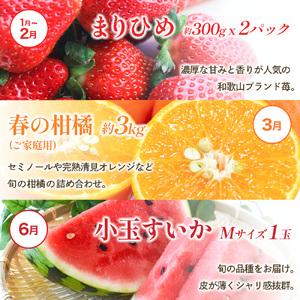 ふるさと納税 わかやま旬のくだもの定期便 全6...の詳細画像1