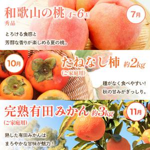 ふるさと納税 わかやま旬のくだもの定期便 全6...の詳細画像2