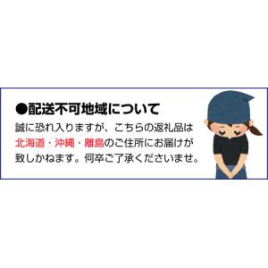 ふるさと納税 わかやま旬のくだもの定期便 全6...の詳細画像4