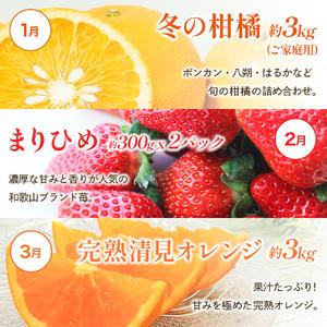 ふるさと納税 フルーツ 定期便 フルーツ 12...の詳細画像1