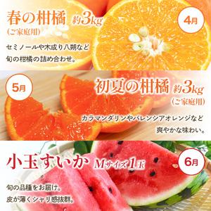 ふるさと納税 フルーツ 定期便 フルーツ 12...の詳細画像2
