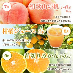 ふるさと納税 フルーツ 定期便 フルーツ 12...の詳細画像3