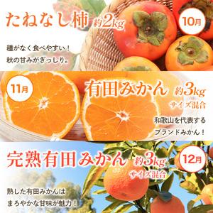 ふるさと納税 フルーツ 定期便 フルーツ 12...の詳細画像4