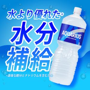 ふるさと納税 【2ヶ月定期便】アクエリアス 2...の詳細画像1