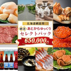 ふるさと納税 あとからゆっくり、網走セレクトパック 650,000円 ABBG007 北海道網走市