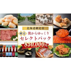 ふるさと納税 あとからゆっくり、網走セレクトパック 850,000円 ABBG009 北海道網走市