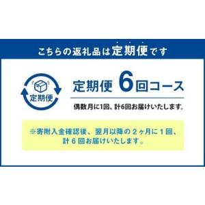 ふるさと納税 【年6回定期便】ミディ胡蝶蘭の定...の詳細画像1