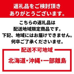ふるさと納税 わかやま旬のくだもの定期便 全1...の詳細画像2