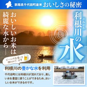 ふるさと納税 2027年3月発送 群馬県千代田...の詳細画像3