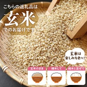 ふるさと納税 2027年3月発送 群馬県千代田...の詳細画像2