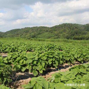 ふるさと納税 有機 高原のえごま油 毎日習慣 ...の詳細画像2