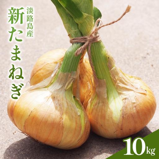 ふるさと納税 新玉ねぎ 淡路島産 10kg 甘い みずみずしい 新玉ねぎ 兵庫県洲本市