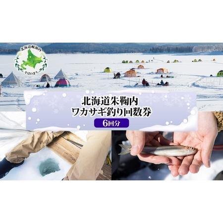 ふるさと納税 北海道朱鞠内 ワカサギ釣り 回数券 利用券 チケット 朱鞠内湖 わかさぎ 魚釣り アイ...