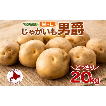ふるさと納税 ＜2025年秋以降出荷＞ 北海道 じゃがいも 男爵 M〜L 約20kg 特別栽培 ジャ...
