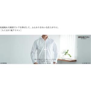 ふるさと納税 【ドラム式洗濯乾燥機ビックドラム...の詳細画像2