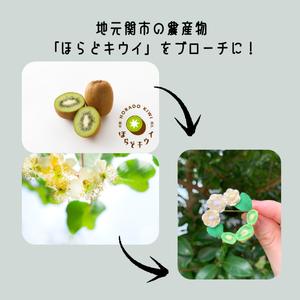 ふるさと納税 岐阜県関市産「ほらどキウイ」モチ...の詳細画像1