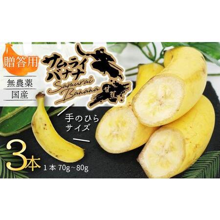 ふるさと納税 高知県産 侍バナナ｜無農薬・国産・農家直送 手のひらサイズ 3本 贈答用 バナナ フル...