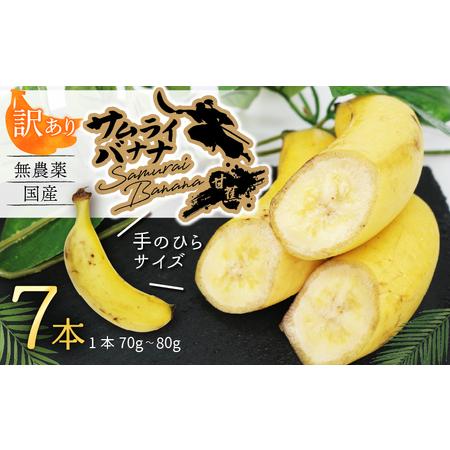 ふるさと納税 【訳あり】高知県産 侍バナナ｜無農薬・国産・農家直送 手のひらサイズ 7本  バナナフ...