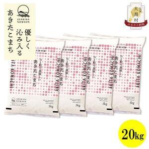ふるさと納税 【毎月定期便】秋田県産あきたこまち白米20kg(5kg×4)全12回【配送不可地域：離島・沖縄県】【4072894】 秋田県大潟村