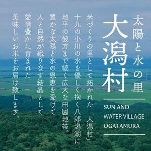 ふるさと納税 【毎月定期便】秋田県産あきたこま...の詳細画像2