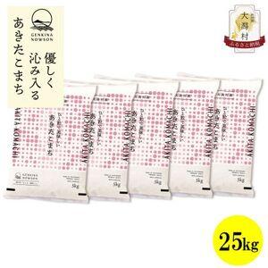 ふるさと納税 【毎月定期便】秋田県産あきたこまち白米25kg(5kg×5)全12回【配送不可地域：離島・沖縄県】【4072895】 秋田県大潟村