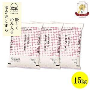 ふるさと納税 【毎月定期便】秋田県産あきたこまち無洗米15kg(5kg×3)全12回【配送不可地域：離島・沖縄県】【4072899】 秋田県大潟村
