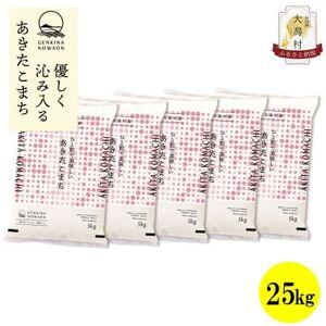 ふるさと納税 【毎月定期便】秋田県産あきたこまち無洗米25kg(5kg×5)全6回【配送不可地域：離島・沖縄県】【4073085】 秋田県大潟村