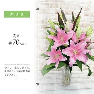 ふるさと納税 SBT0018 【12回定期便】...の詳細画像2