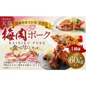 ふるさと納税 【豚1頭分！】完全無薬！梅肉エキス肥育 熊本県産 天草梅肉ポーク 食べ尽くしセット 一頭 約60kg以上 肉 お肉 豚肉 ポーク 詰め.. 熊本県上天草市