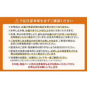 ふるさと納税 パナソニック 洗濯機 ドラム式 ...の詳細画像3