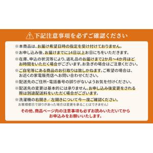 ふるさと納税 パナソニック 洗濯機 ドラム式 ...の詳細画像3