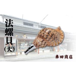 三島屋楽器店 法螺貝（ホラ貝） 特大 (約43センチ） 唄口付NO.44011