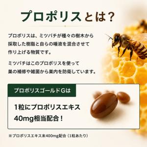ふるさと納税 プロポリスゴールド12本セット ...の詳細画像1
