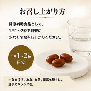 ふるさと納税 プロポリスゴールド12本セット ...の詳細画像4