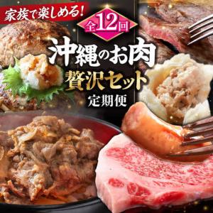 ふるさと納税 【全12回定期便】家族で満喫！沖縄のお肉贅沢セット【沖縄市】ハンバーグ あぐー 石垣牛 ステーキ 焼肉 冷凍 ギフト お取り寄せ 沖.. 沖縄県沖縄市