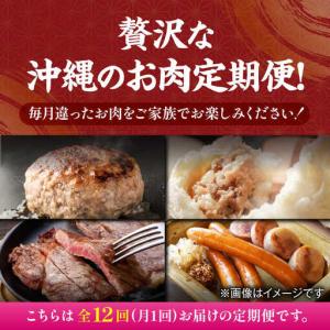 ふるさと納税 【全12回定期便】家族で満喫!沖...の詳細画像1