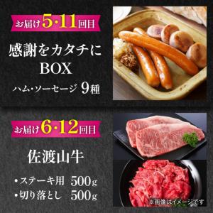 ふるさと納税 【全12回定期便】家族で満喫!沖...の詳細画像4