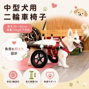 ふるさと納税 中型犬用二輪車椅子（背丈33〜65cm　体重22キロ以下） 【!寄附前に事業者へ相談必要!】 雑貨 日用品 岐阜県池田町