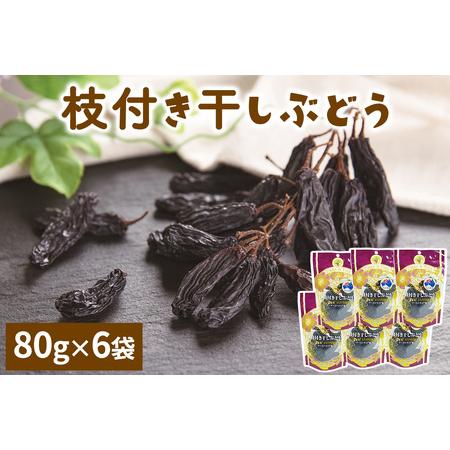 ふるさと納税 龍屋物産 枝付き干しぶどう オーストラリア産 計480g (80g×6袋) [0631...