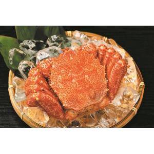 ふるさと納税 【通年】活ゆで毛蟹(特大)2尾で...の詳細画像4
