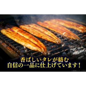 ふるさと納税 【定期便3回】うなぎ 蒲焼 特大...の詳細画像4