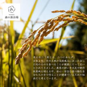 ふるさと納税 にじのきらめき 5kg 京都丹波...の詳細画像2