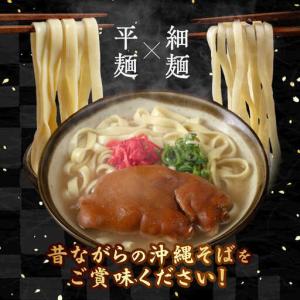 ふるさと納税 【全12回定期便】てびちそば4食...の詳細画像3