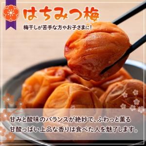 ふるさと納税 つぶれ 梅干し はちみつ梅干し ...の詳細画像2