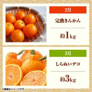 ふるさと納税 【先行予約】フルーツ6ヶ月定期便...の詳細画像1