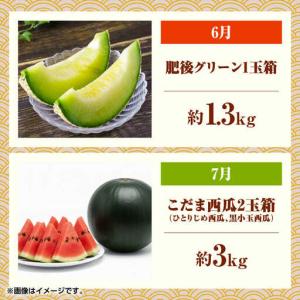 ふるさと納税 【先行予約】フルーツ6ヶ月定期便...の詳細画像3