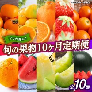 ふるさと納税 【先行予約】フルーツ10ヶ月定期便　10月〜7月　ZBG078 熊本県山鹿市