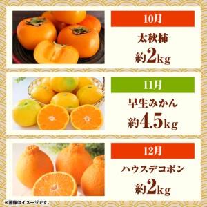 ふるさと納税 【先行予約】フルーツ10ヶ月定期...の詳細画像1