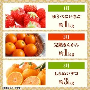ふるさと納税 【先行予約】フルーツ10ヶ月定期...の詳細画像2