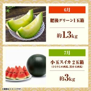 ふるさと納税 【先行予約】フルーツ10ヶ月定期...の詳細画像4